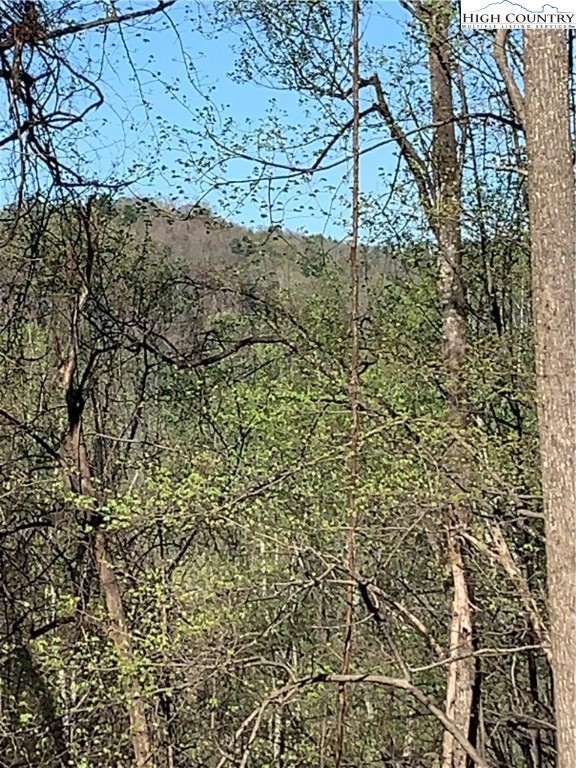 378 Horseshoe Ridge Road East Deep Gap, NC 28618 - Photo 2 of 50 Gallery Image 2
