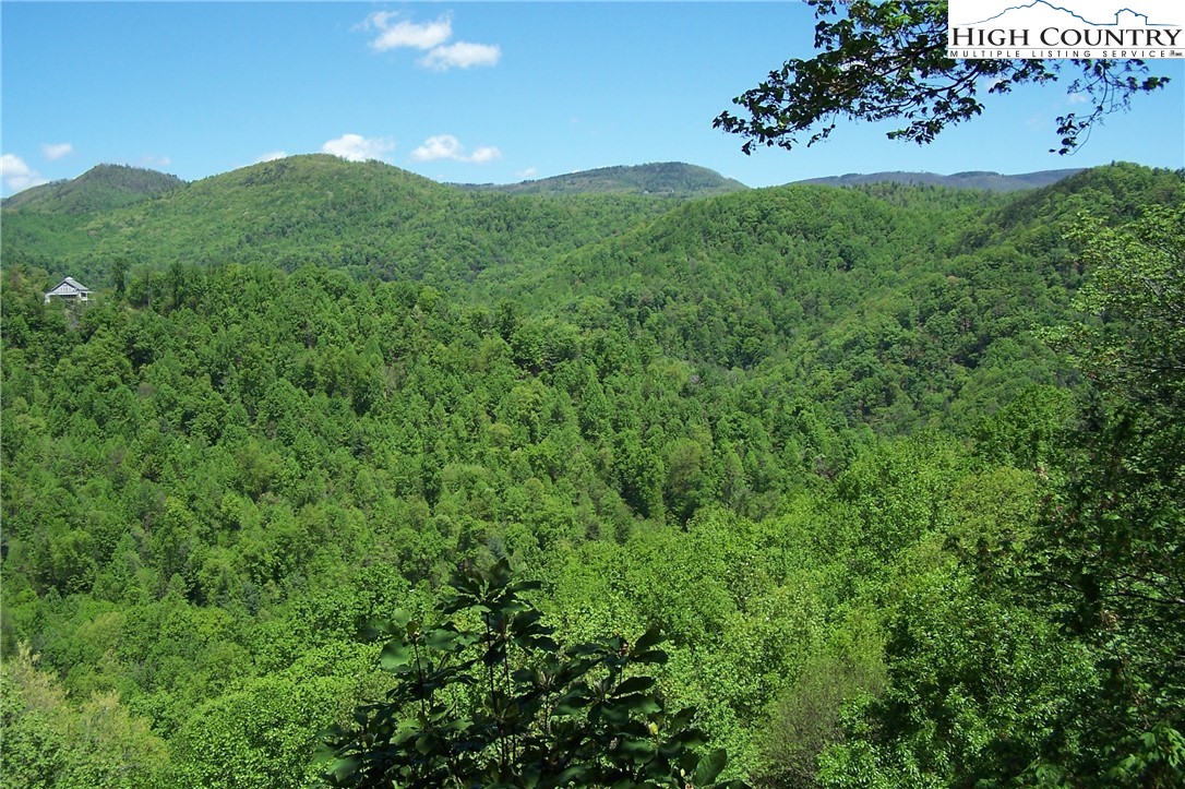 378 Horseshoe Ridge Road East Deep Gap, NC 28618 - Photo 28 of 50 Gallery Image 28