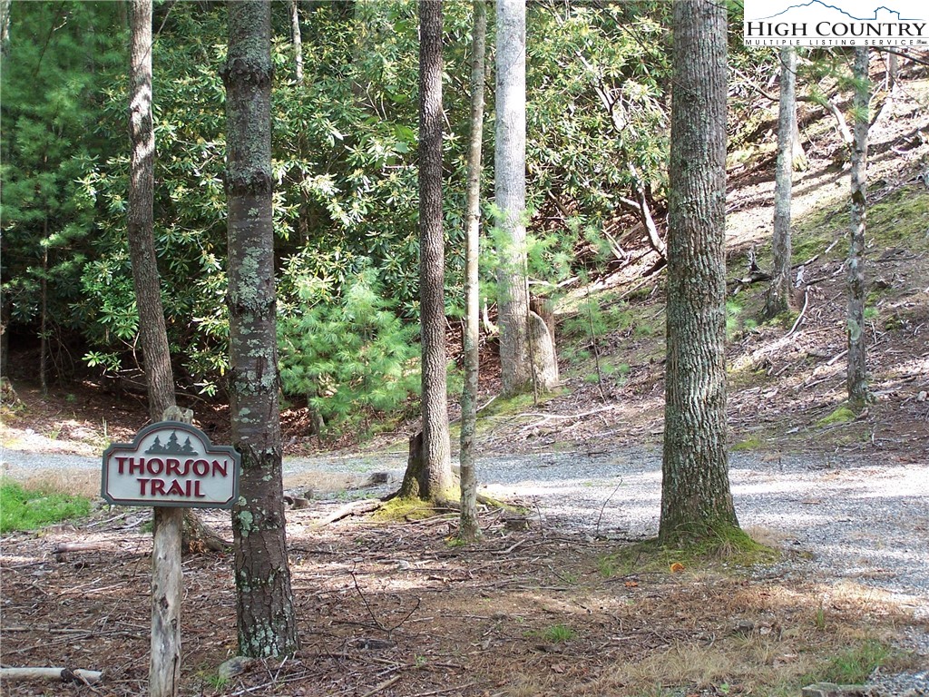 378 Horseshoe Ridge Road East Deep Gap, NC 28618 - Photo 35 of 50 Gallery Image 35