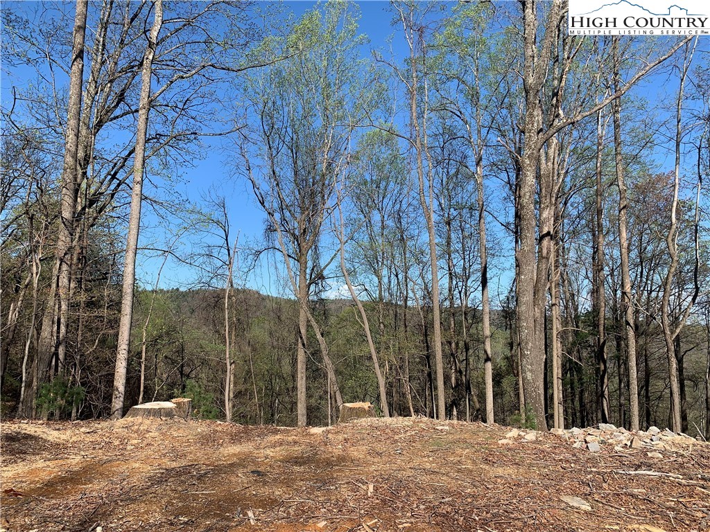 378 Horseshoe Ridge Road East Deep Gap, NC 28618 - Photo 6 of 50 Gallery Image 6