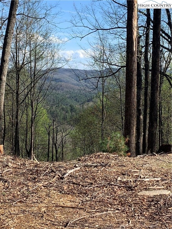 378 Horseshoe Ridge Road East Deep Gap, NC 28618 - Photo 7 of 50 Gallery Image 7