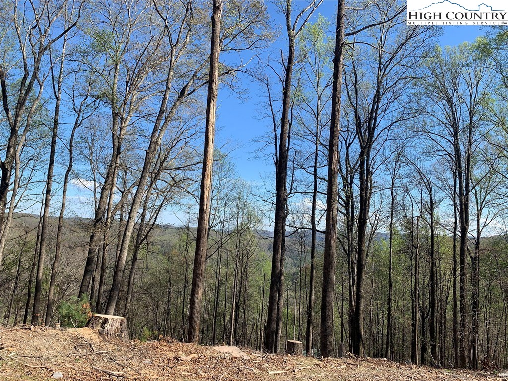 378 Horseshoe Ridge Road East Deep Gap, NC 28618 - Photo 8 of 50 Gallery Image 8