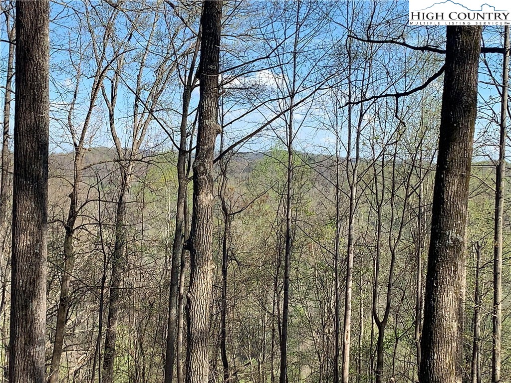 378 Horseshoe Ridge Road East Deep Gap, NC 28618 - Photo 9 of 50 Gallery Image 9