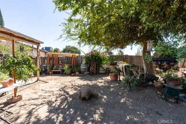 a view of a backyard with large trees and plants