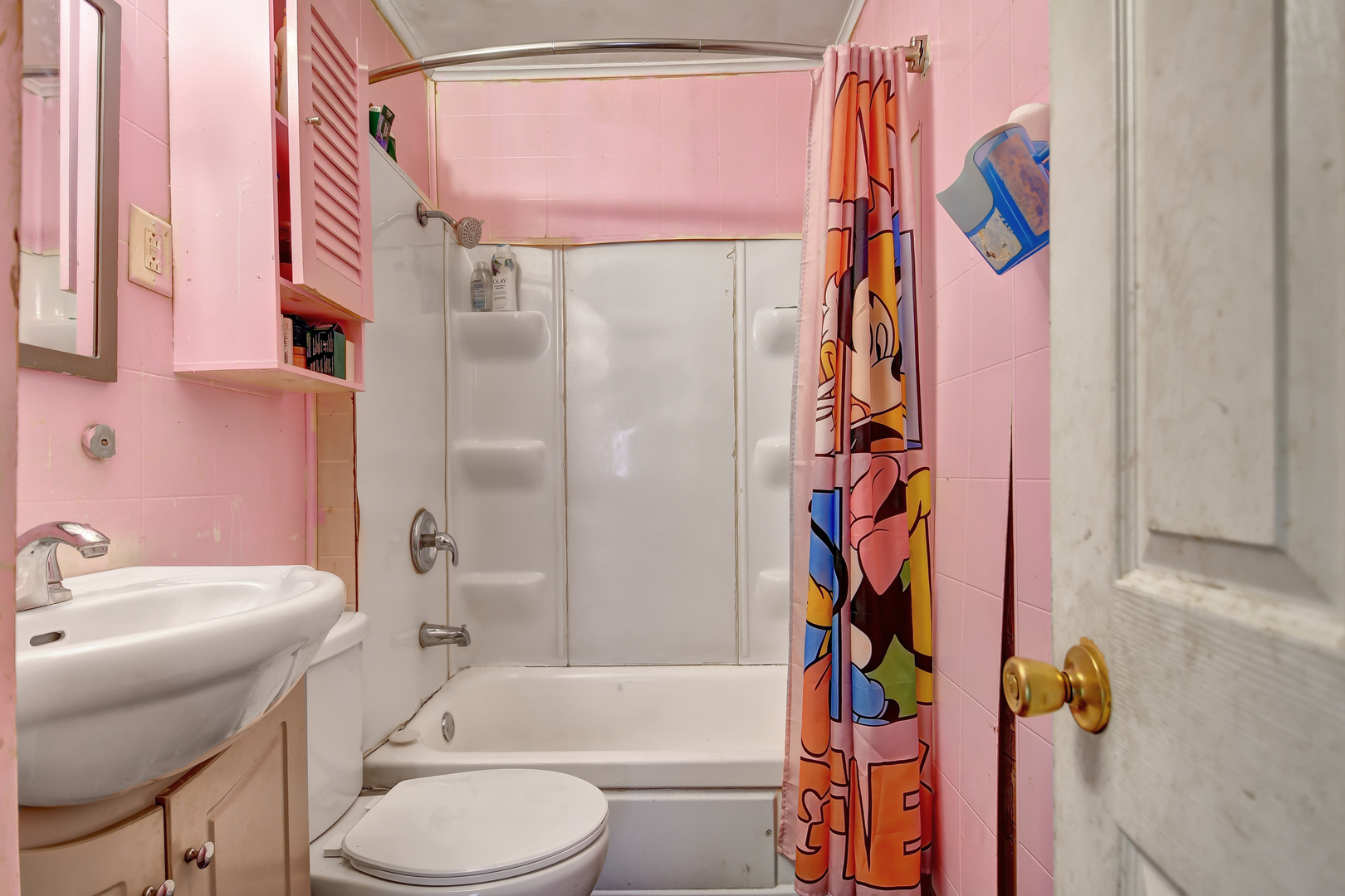 2528 Cochran Street Blue Island, IL 60406 - Photo 8 of 19