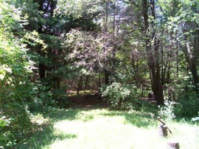10264 Jericho Road Bridgman, MI 49106 - Photo 17 of 28 20140721182647857407000000-o