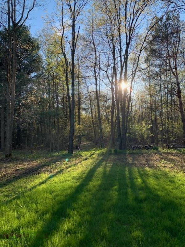 10264 Jericho Road Bridgman, MI 49106 - Photo 20 of 28 IMG-3817