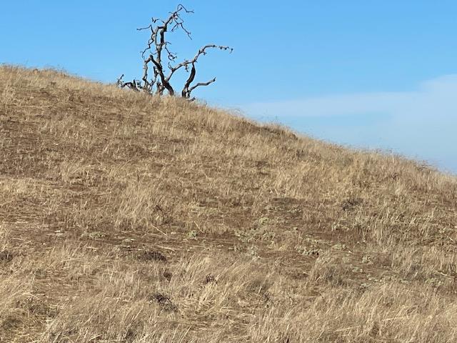 0 Felter Road San Jose, CA 95132 - Photo 8 of 11