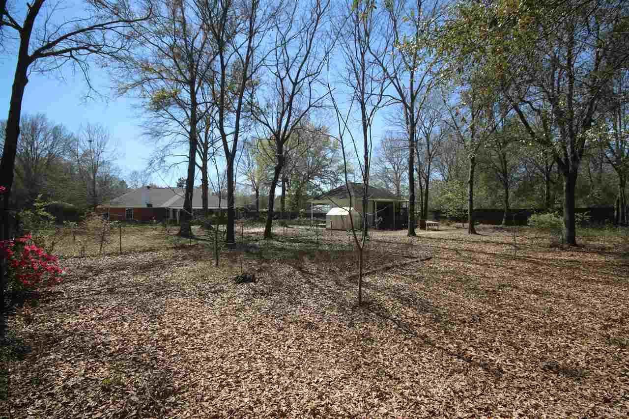 5337 Morgan Ridge Drive Milton, FL 32570 - Photo 46 of 50 55' beyond the cross fence. Perfect for a garden!