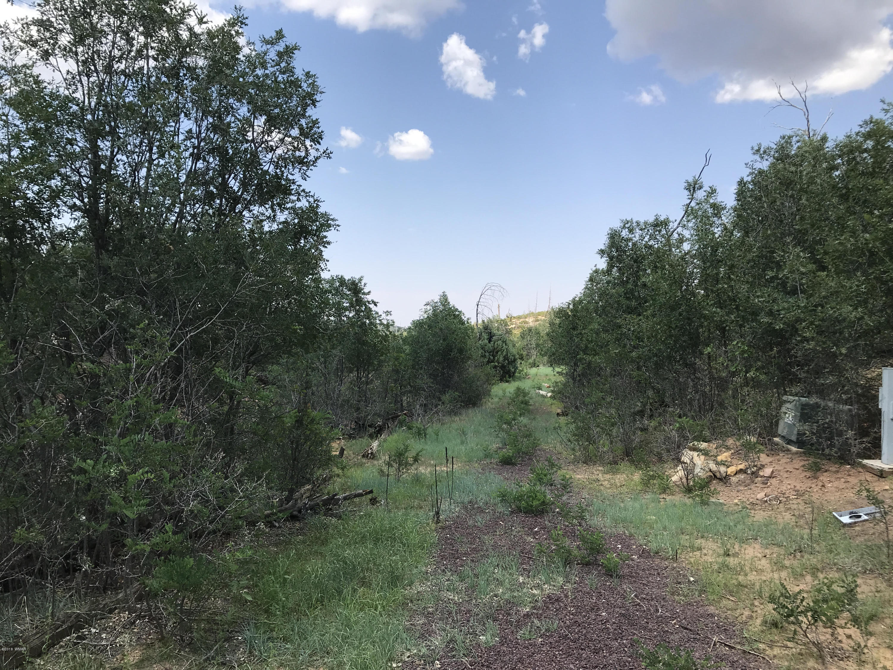 46a Clay Springs Overgaard, AZ 85933 - Photo 2 of 10
