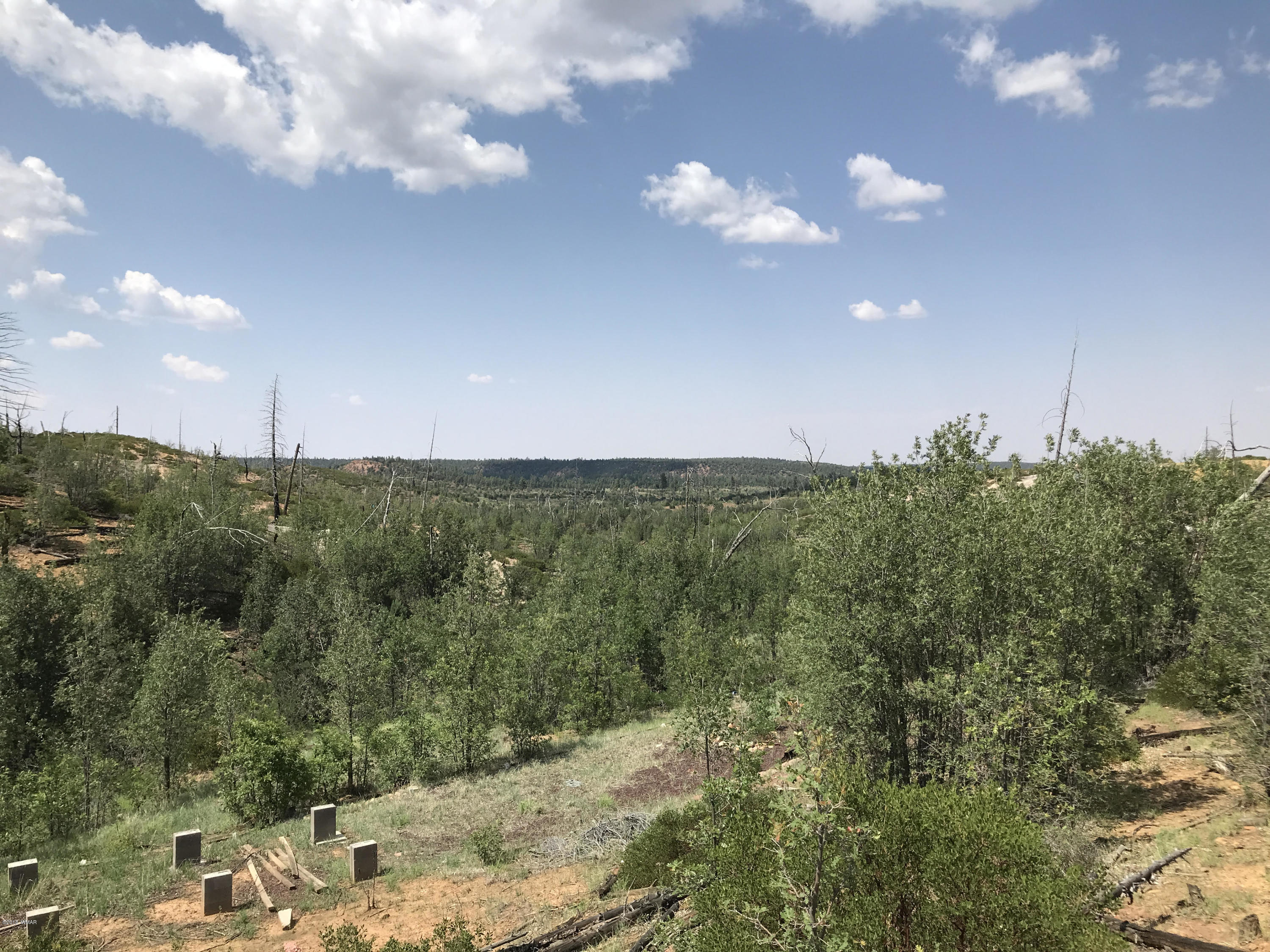 46a Clay Springs Overgaard, AZ 85933 - Photo 3 of 10