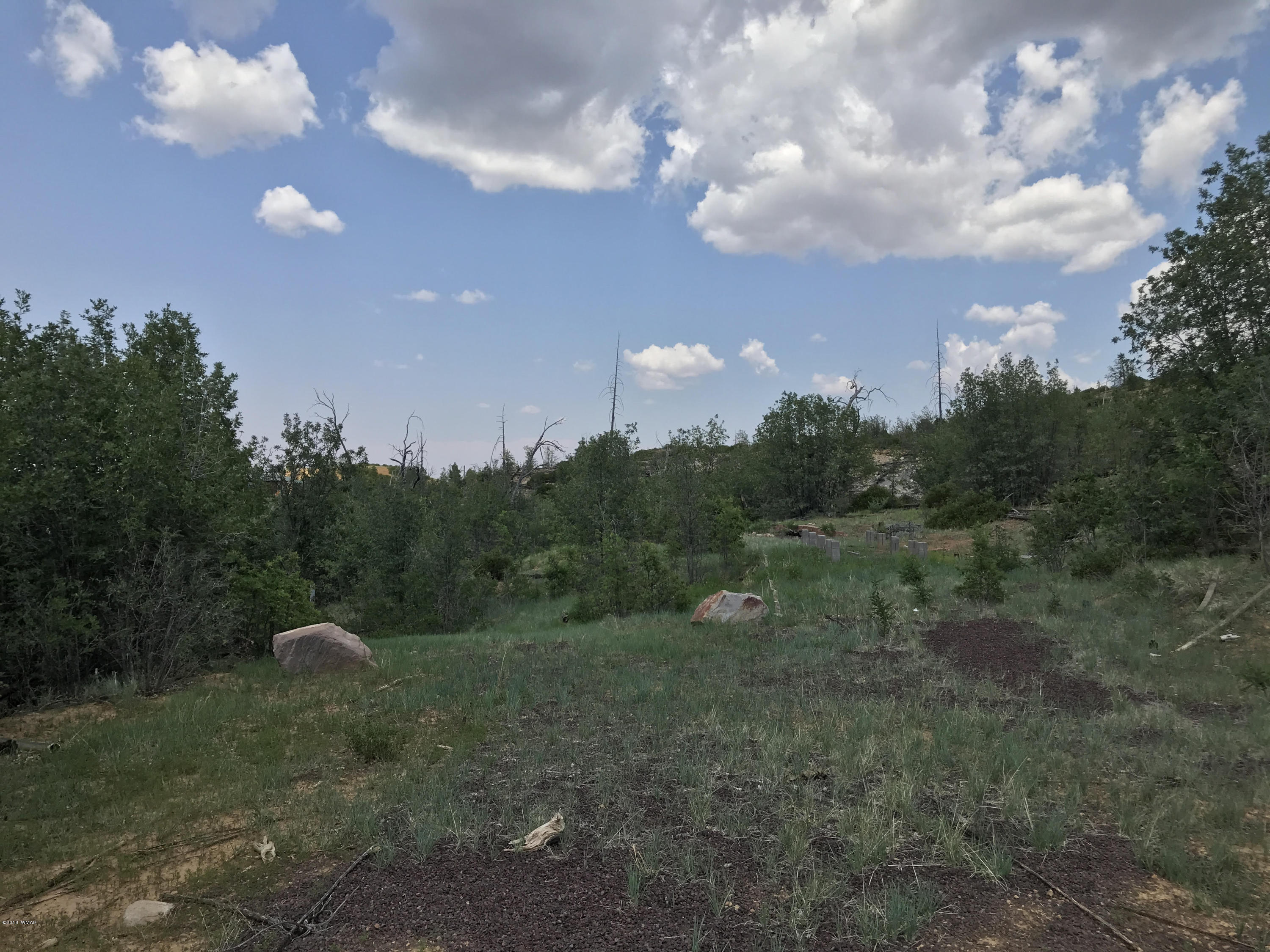 46a Clay Springs Overgaard, AZ 85933 - Photo 7 of 10