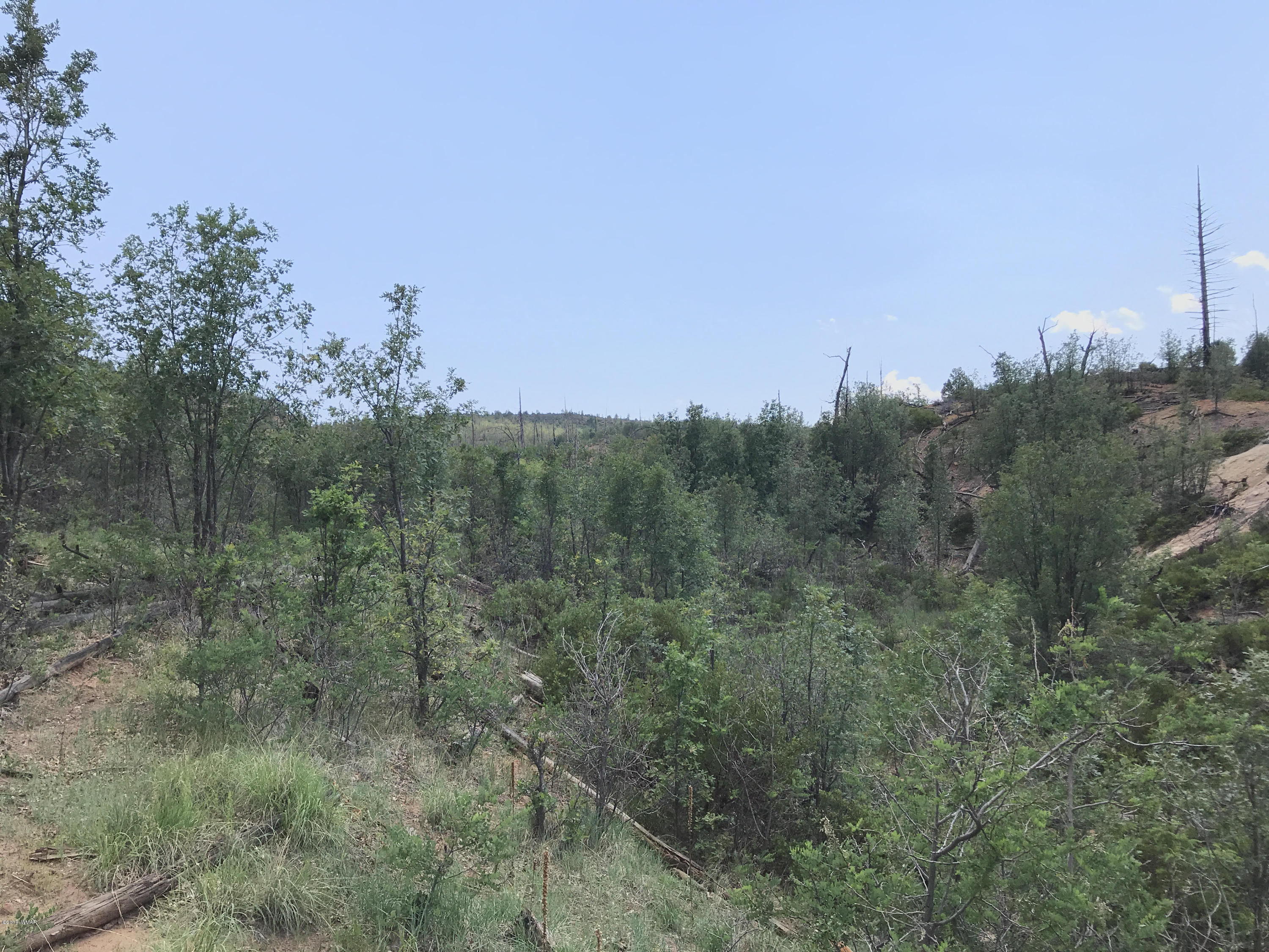 46a Clay Springs Overgaard, AZ 85933 - Photo 8 of 10