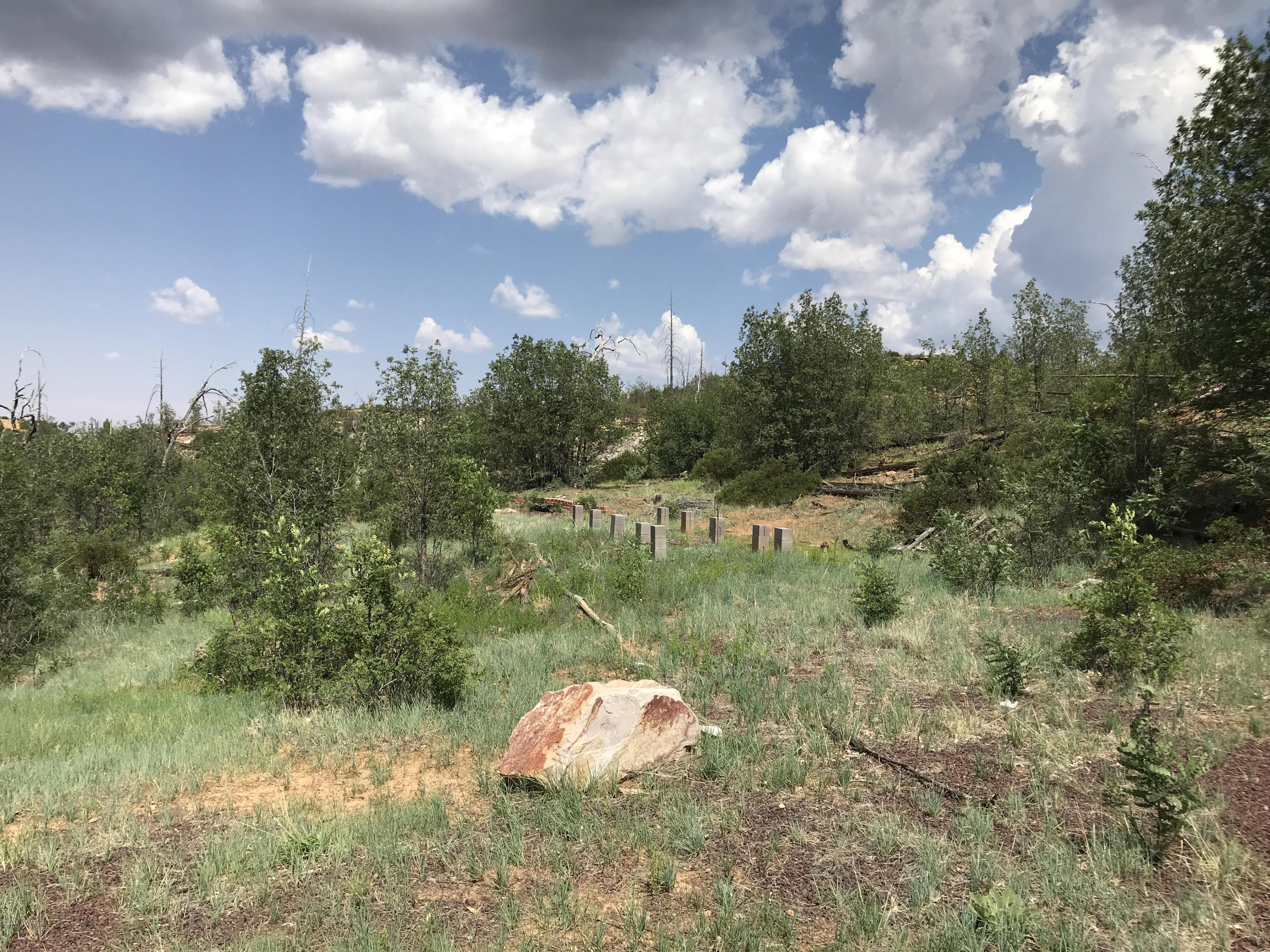 46a Clay Springs Overgaard, AZ 85933 - Photo 9 of 10