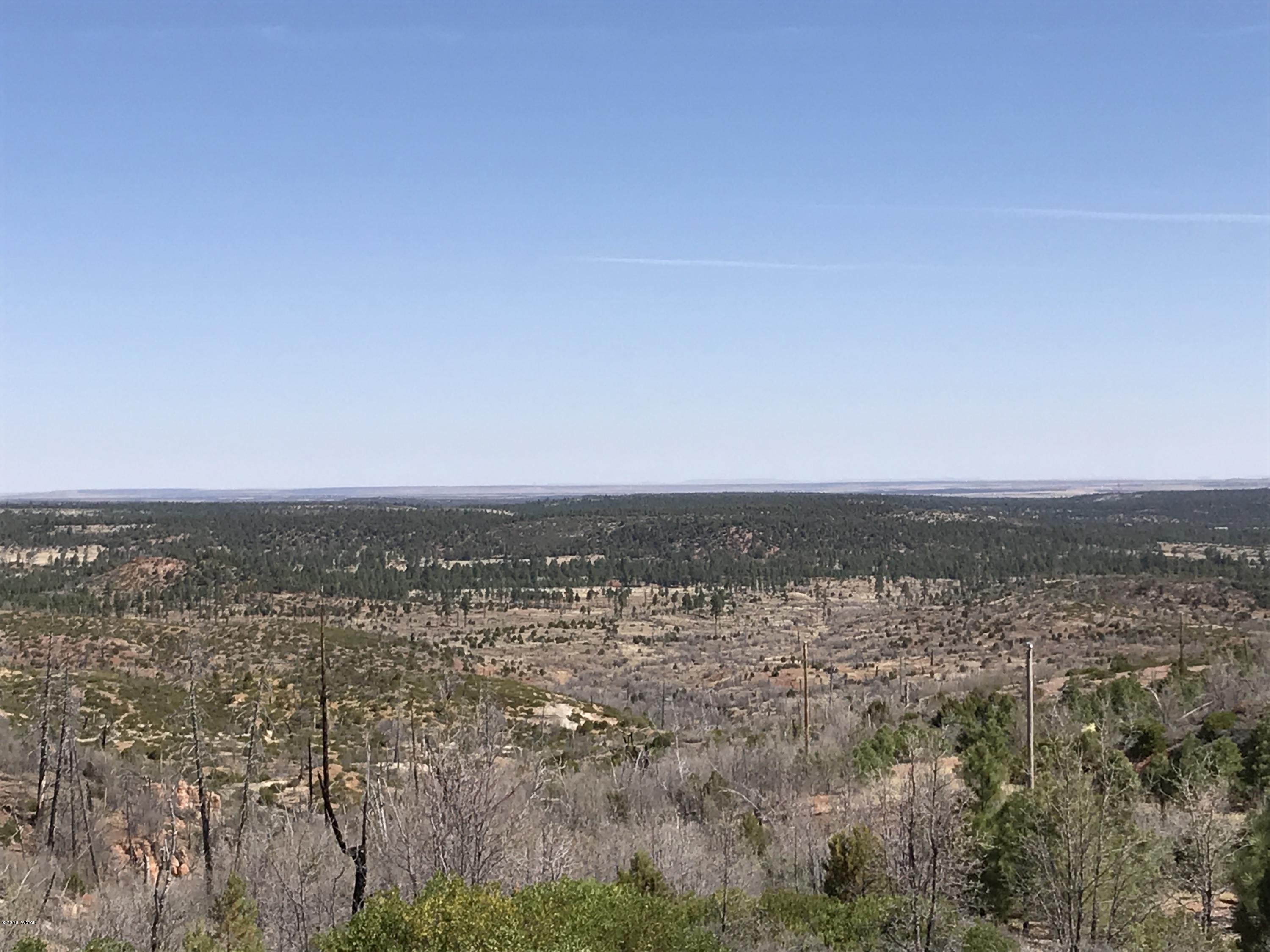 46a Clay Springs Overgaard, AZ 85933 - Photo 10 of 10