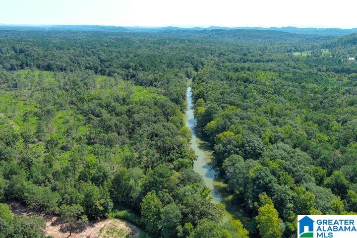 209 Harts Ferry Road, Unit 3 Ohatchee, AL 36271 - Photo 16 of 24