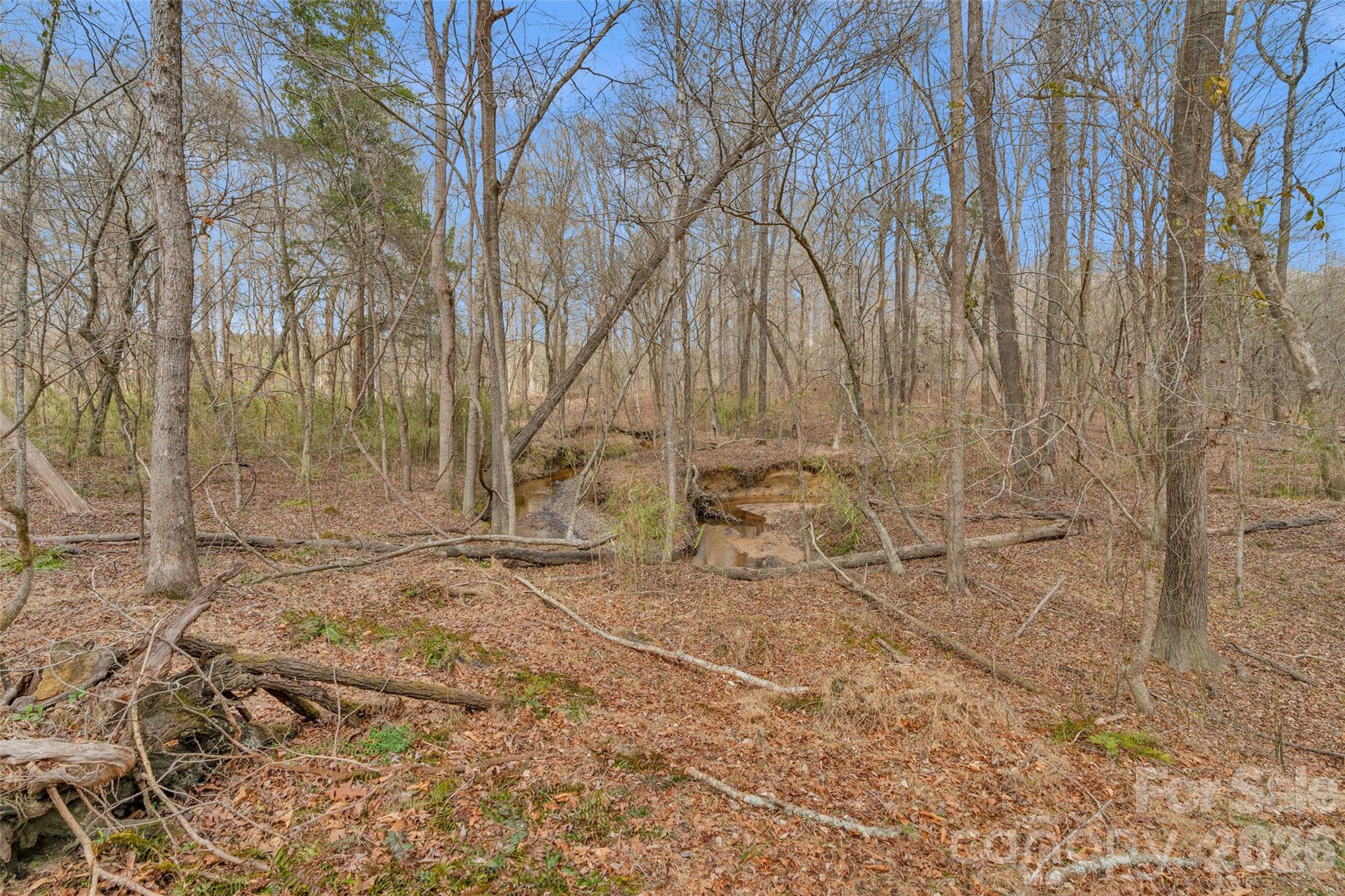 0 Coldstream Road Heath Springs, SC 29058 - Photo 18 of 31 Gallery Image 18
