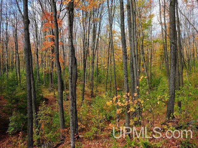 5800 Wolf Lake Road Watersmeet, MI 49969 - Photo 62 of 86