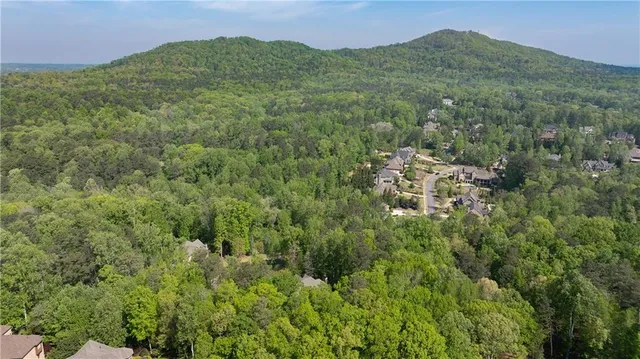 a view of a lush green field with a mountain in the background
