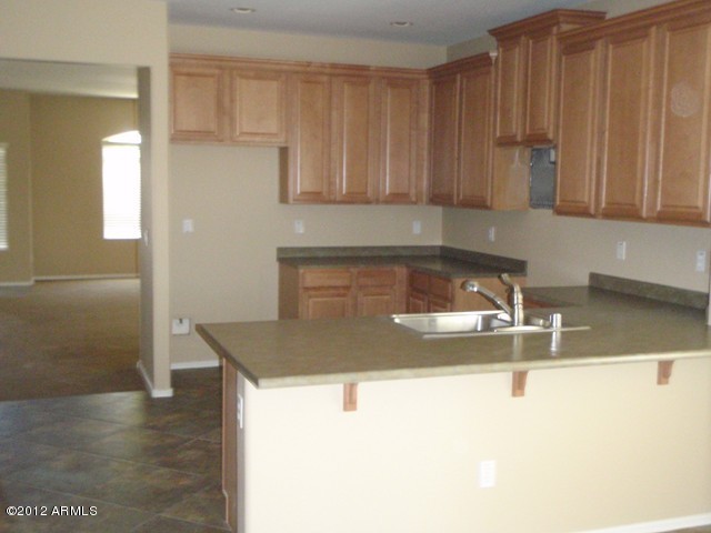 12205 West Riverside Avenue Tolleson, AZ 85353 - Photo 8 of 15 kitchen area