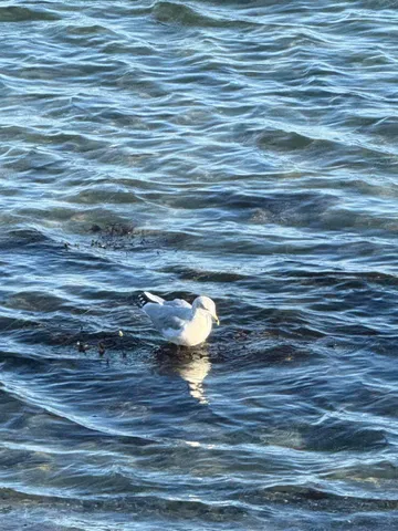 $398,000 | 1373 Post Road, Unit 4E, Wells, ME 04090