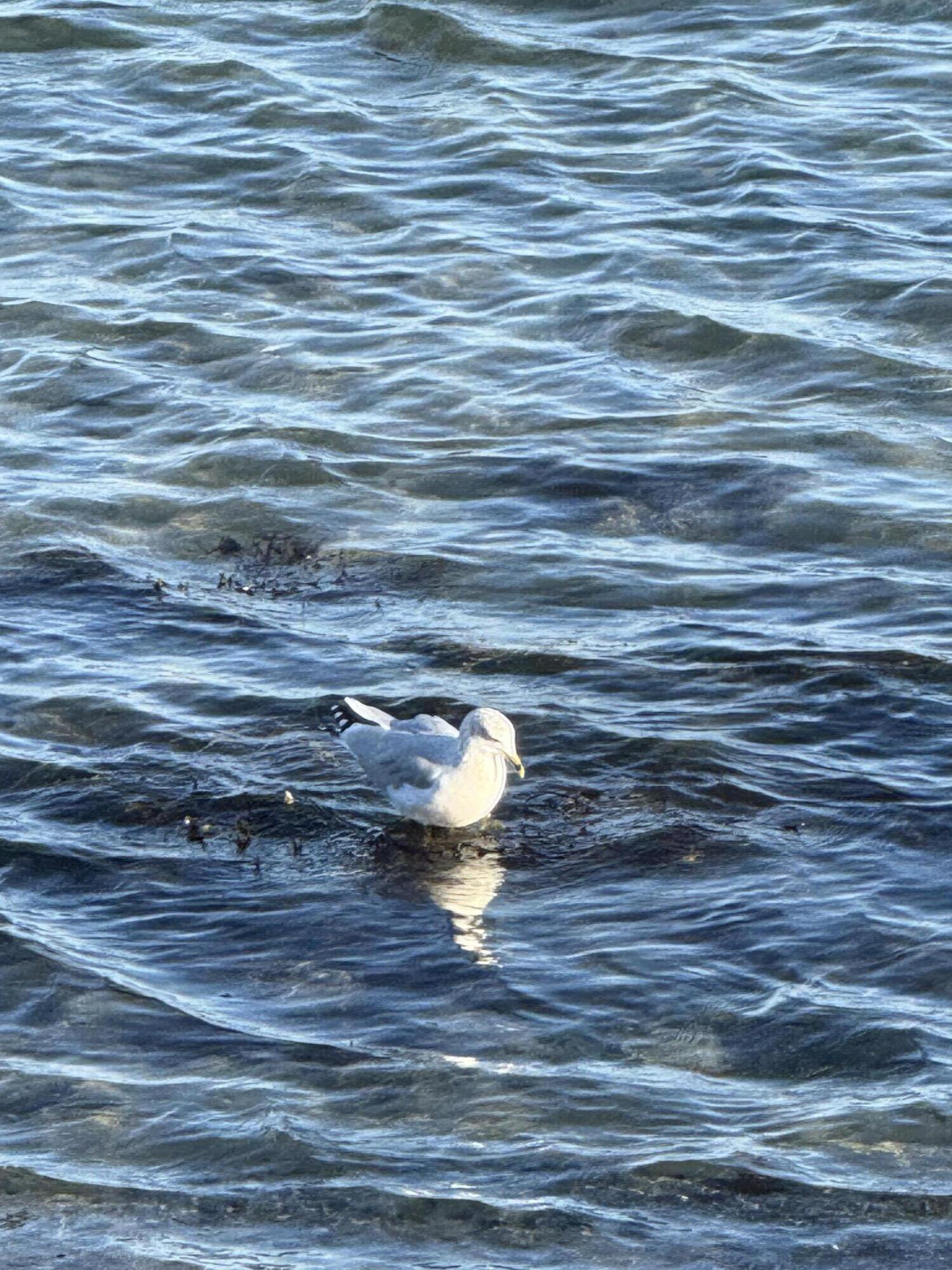 1373 Post Road, Unit 4E Wells, ME 04090 - Photo 25 of 29 BEACH