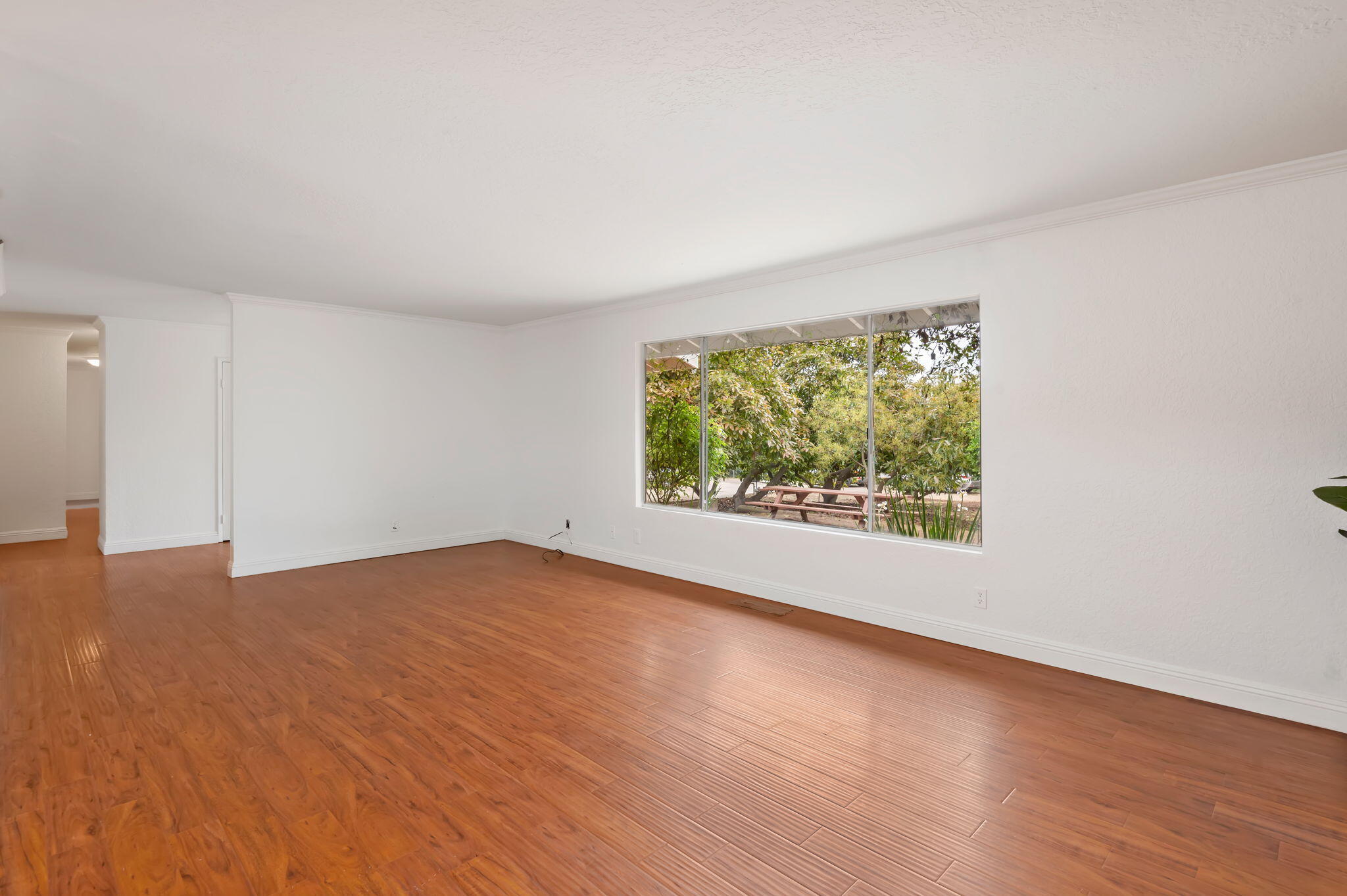 5002 Foothill Road Carpinteria, CA 93013 - Photo 15 of 32 Spacious LIving Room
