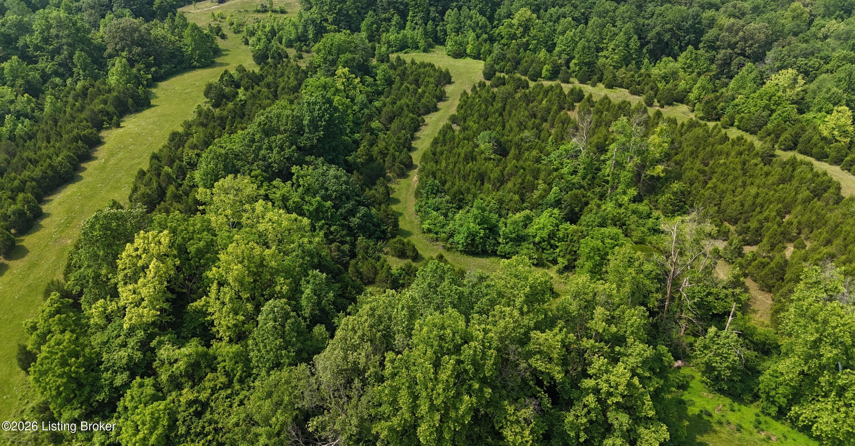 0 Locust Grove Road Bonnieville, KY 42713 - Photo 3 of 11 DJI_20250604103415_0018_D