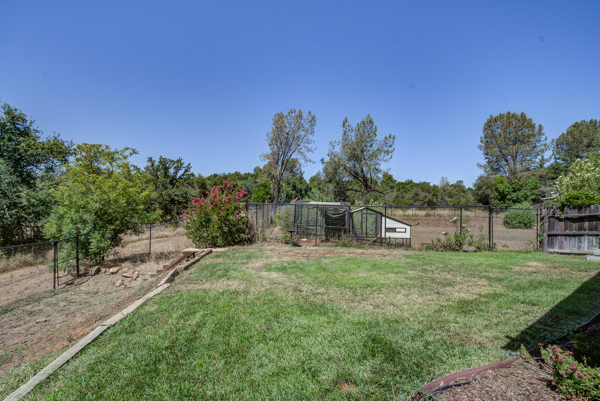4090 Cambria Drive Redding, CA 96002 - Photo 41 of 48 a backyard of a house with lots of green space