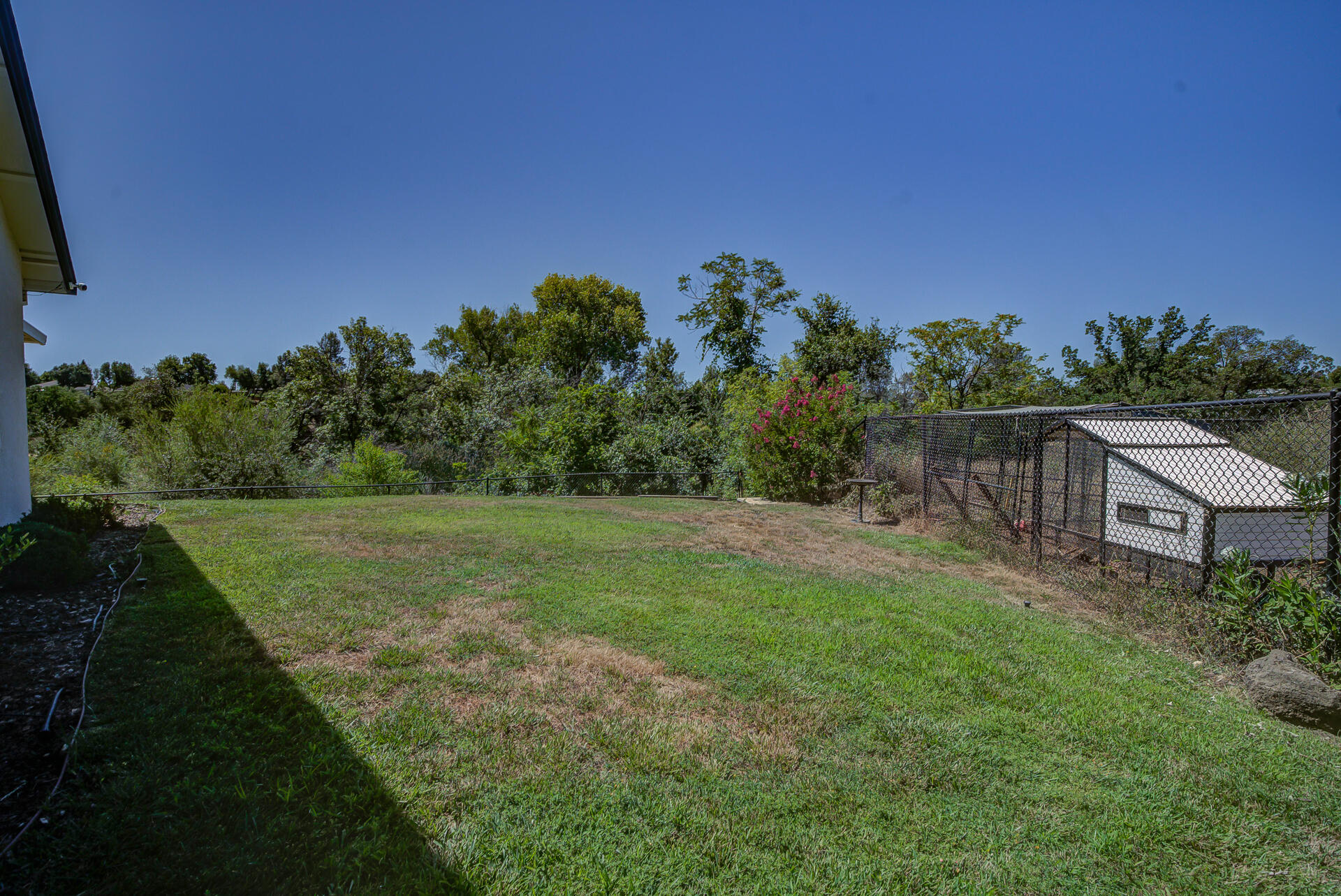 4090 Cambria Drive Redding, CA 96002 - Photo 44 of 48 a backyard of a house with lots of green space
