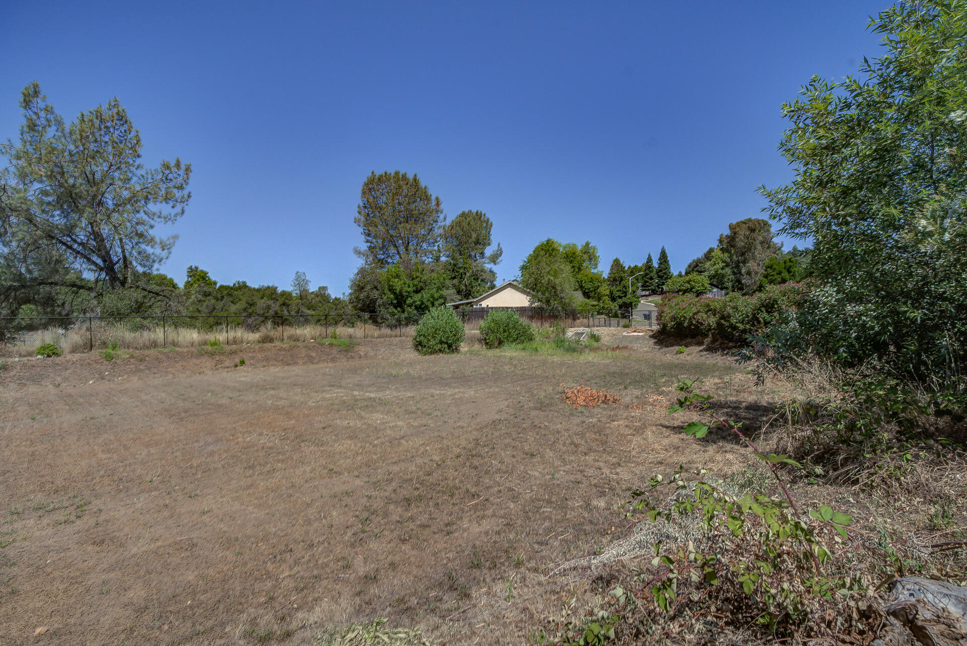 4090 Cambria Drive Redding, CA 96002 - Photo 45 of 48 a view of a field with trees in background