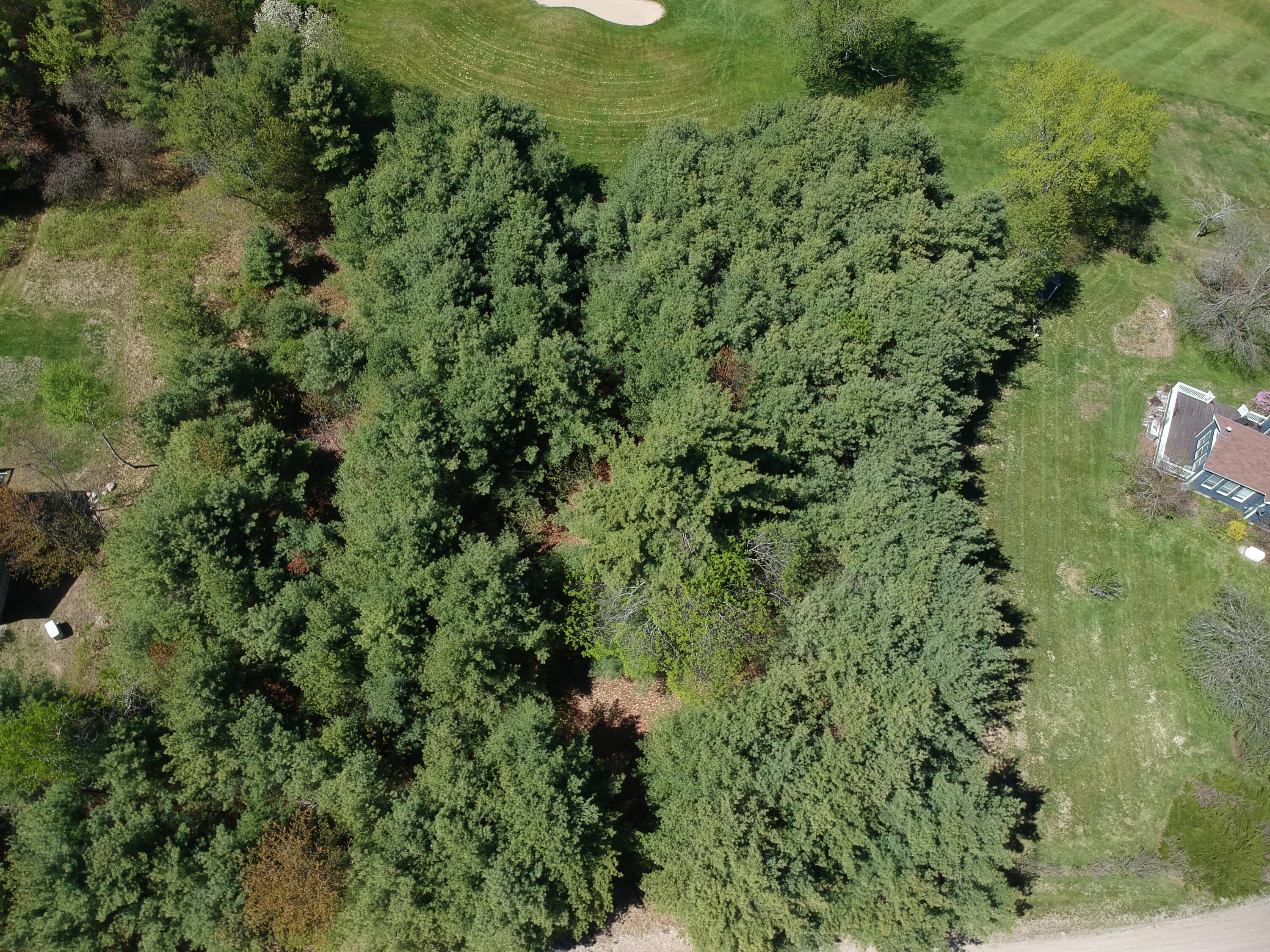 Lot 4 Emery Road Parsonsfield, ME 04047 - Photo 4 of 42 DJI_0118