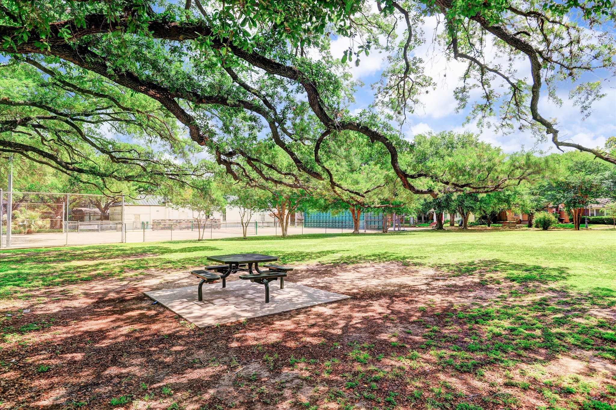 94 Drew Street, Unit C Houston, TX 77006 - Photo 29 of 29 Enjoy outdoor activities at nearby parks.