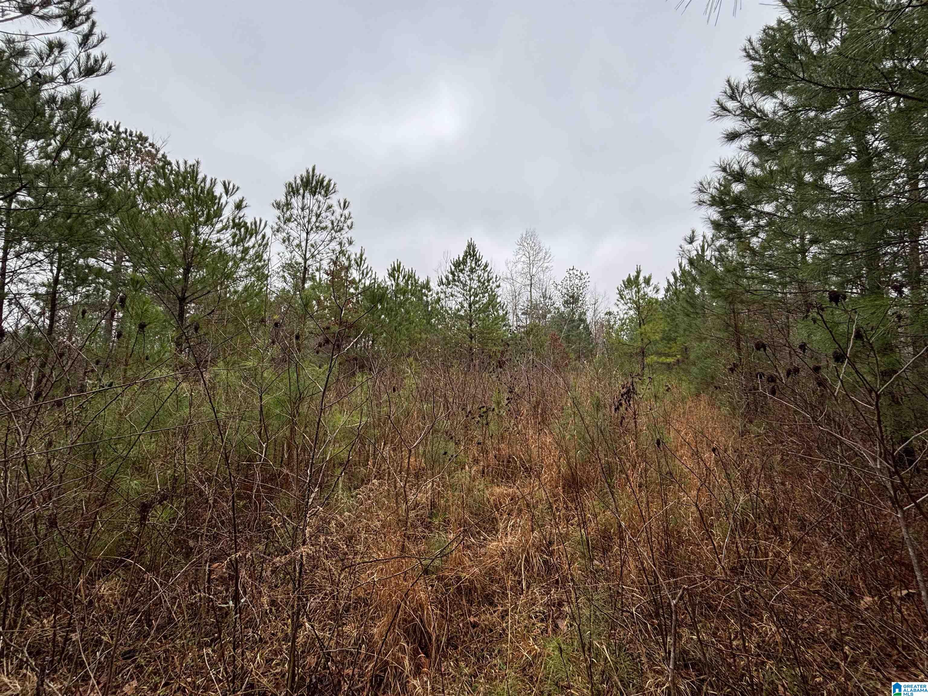 7380 Narrows Road, Unit 148 / ACRES Pinson, AL 35126 - Photo 18 of 22