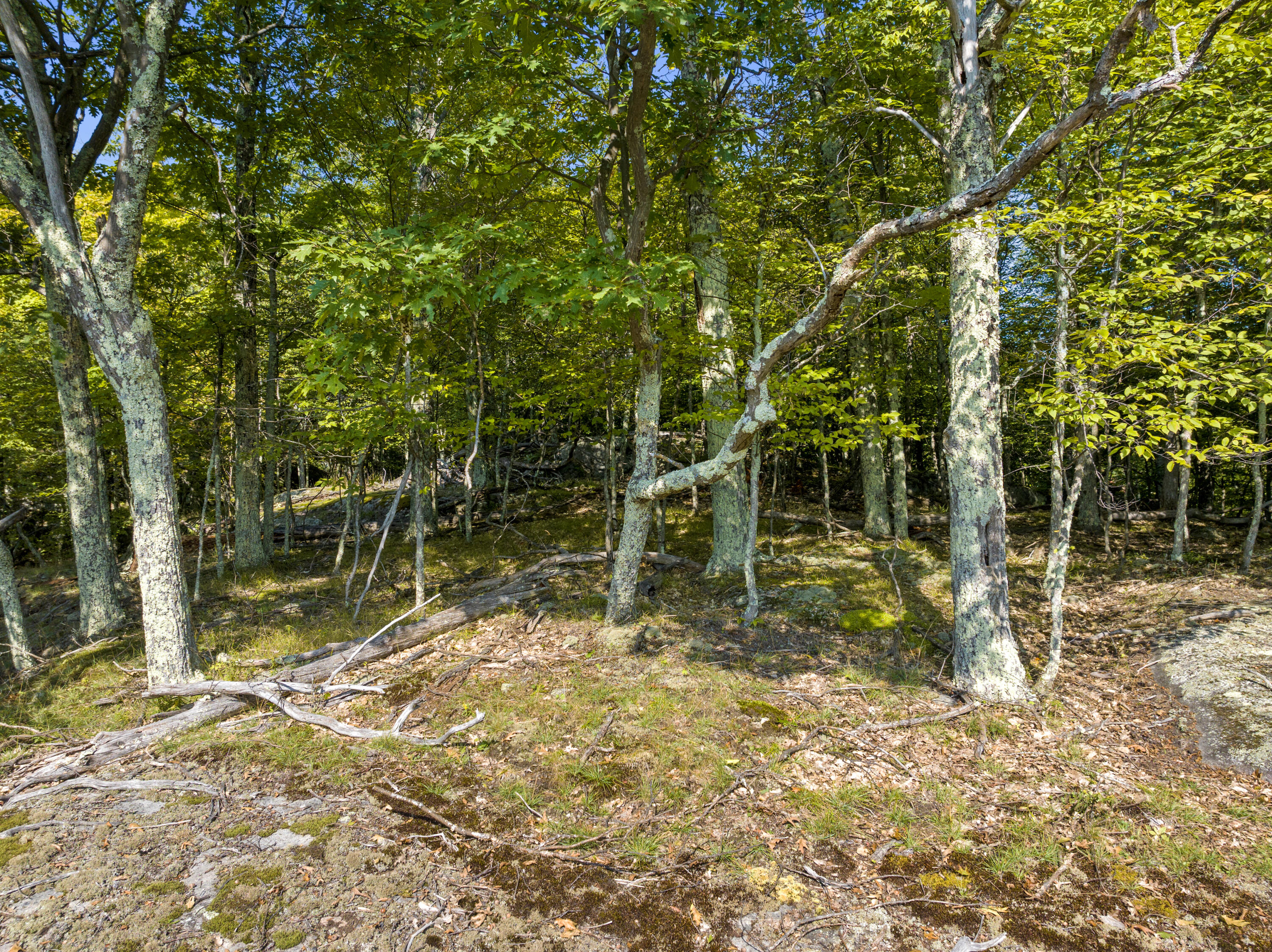 0 Rugged Ridge Way Keene Valley, NY 12943 - Photo 7 of 10