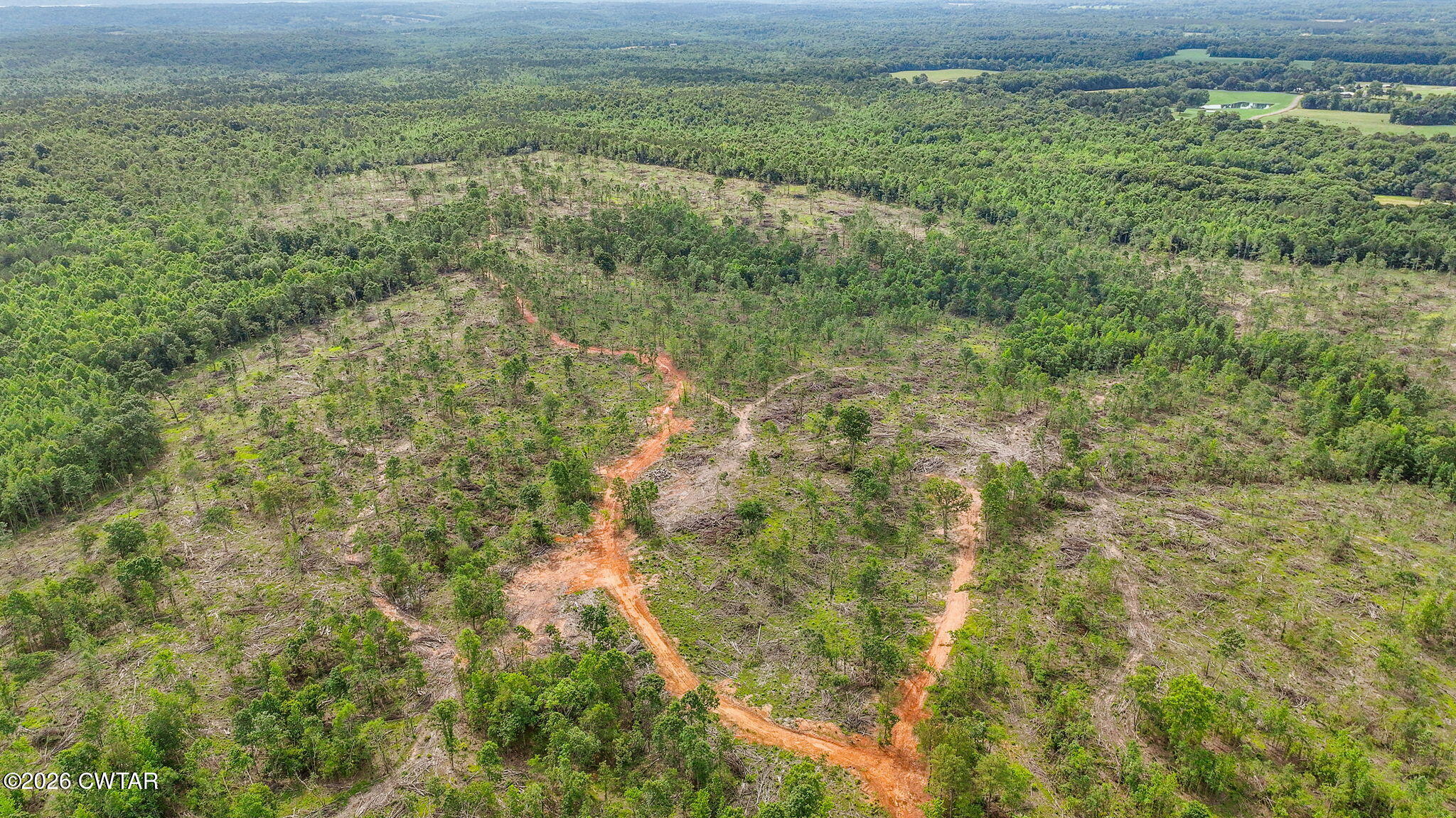 0 Wynn Road Big Sandy, TN 38221 - Photo 10 of 28 8-web-or-mls-DJI_0064