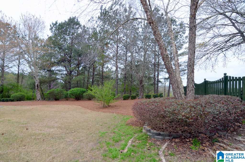 227 Grande View Parkway Alabaster, AL 35114 - Photo 36 of 49