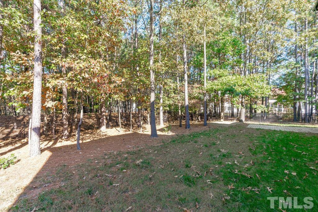 2325 Finley Ridge Lane Raleigh, NC 27615 - Photo 30 of 30 a view of outdoor space with trees