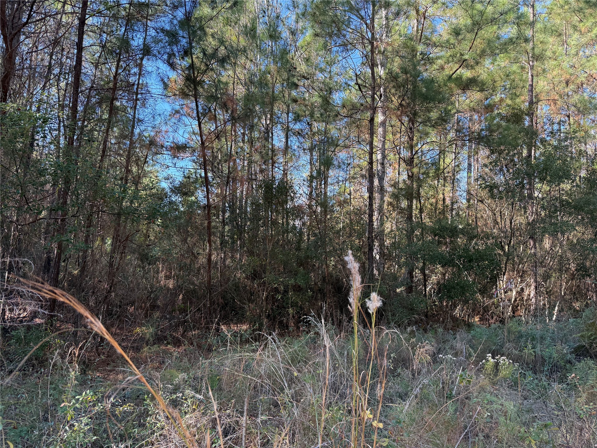 0 Do Hi Way Hilliard, FL 32046 - Photo 14 of 32 Gallery Image 14