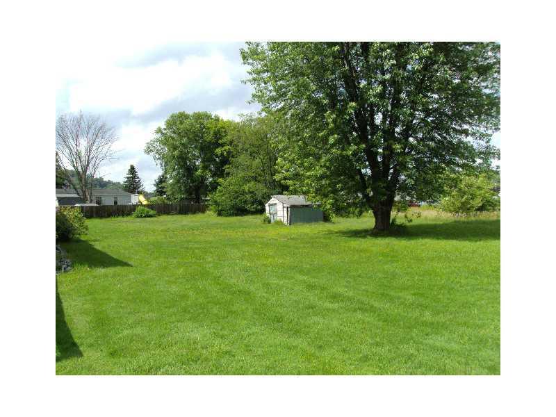 337 Chambers Street Apollo, PA 15613 - Photo 19 of 24 Yard/Garden.