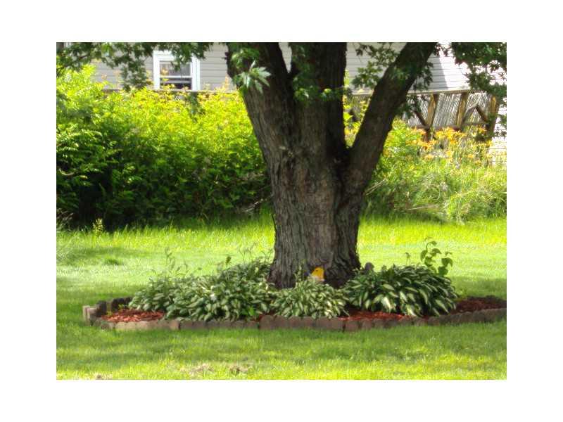337 Chambers Street Apollo, PA 15613 - Photo 21 of 24 Yard/Garden.