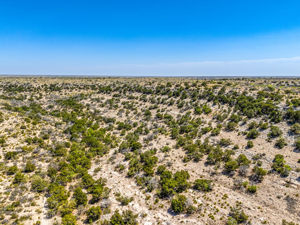 . Deer Run Road Ozona, TX 76943 - Photo 17 of 51 Photo 17