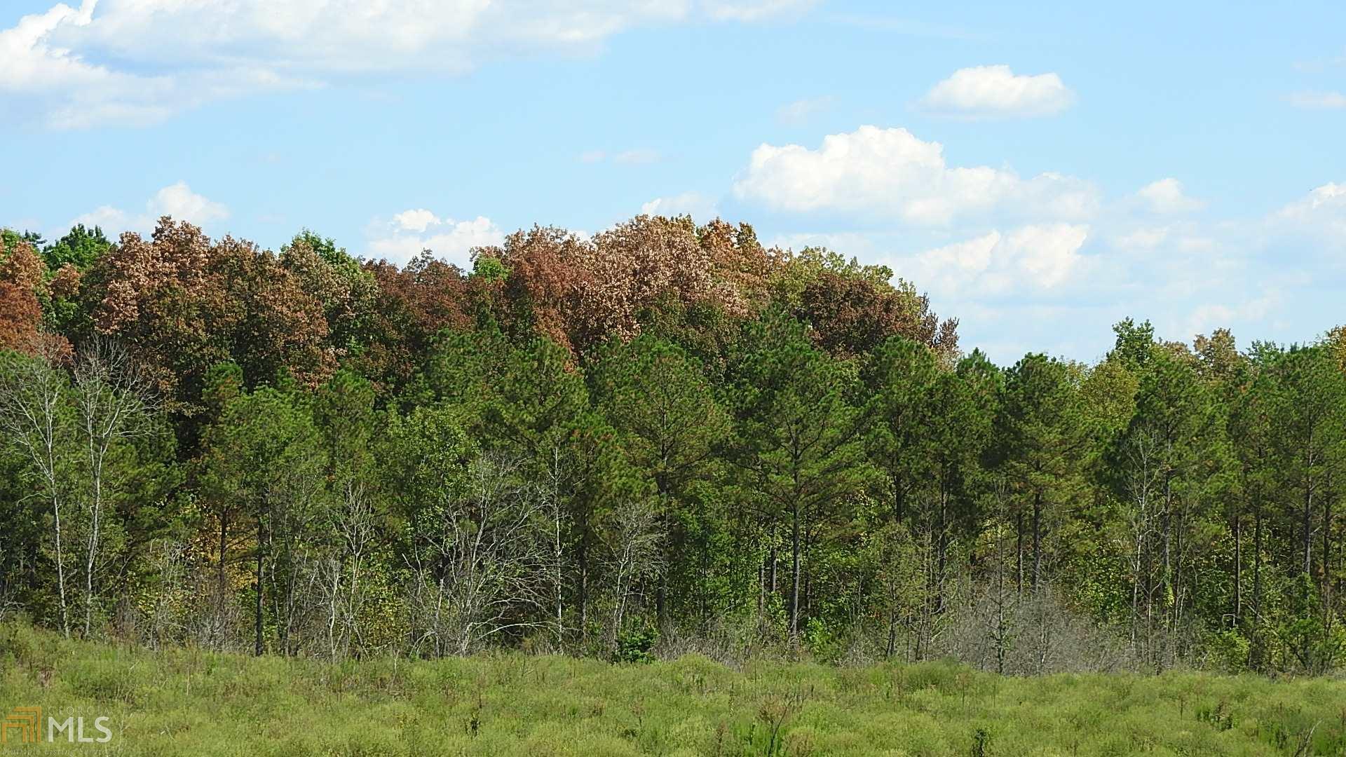 0 Baxter Road, Unit 9634 Resaca, GA 30735 - Photo 1 of 1 a view of a city and lush green forest