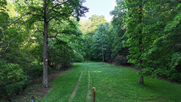 a view of a grassy field with trees in the background