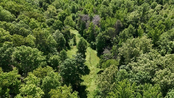 201 Post Road Waverly, TN 37185 - Photo 11 of 43 an aerial view of residential house with outdoor space and trees all around