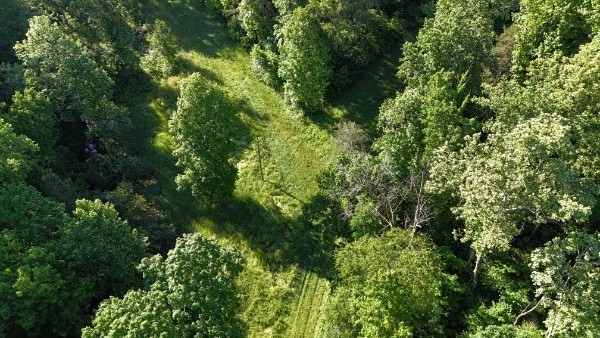 201 Post Road Waverly, TN 37185 - Photo 12 of 43 a view of a lush green forest