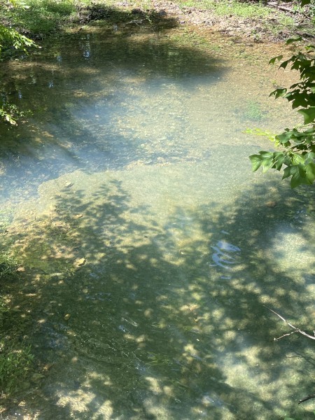 201 Post Road Waverly, TN 37185 - Photo 13 of 43 a view of a lake view