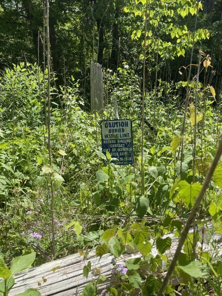 201 Post Road Waverly, TN 37185 - Photo 14 of 43 a view of a garden