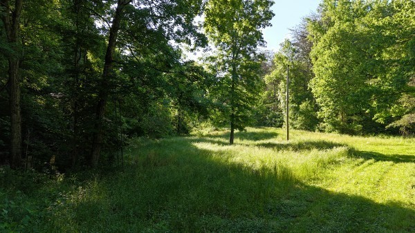 201 Post Road Waverly, TN 37185 - Photo 15 of 43 a view of swimming pool from a yard
