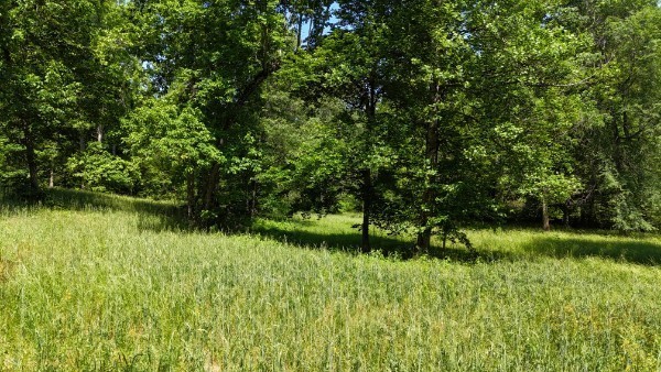 201 Post Road Waverly, TN 37185 - Photo 16 of 43 a view of a lake with a yard